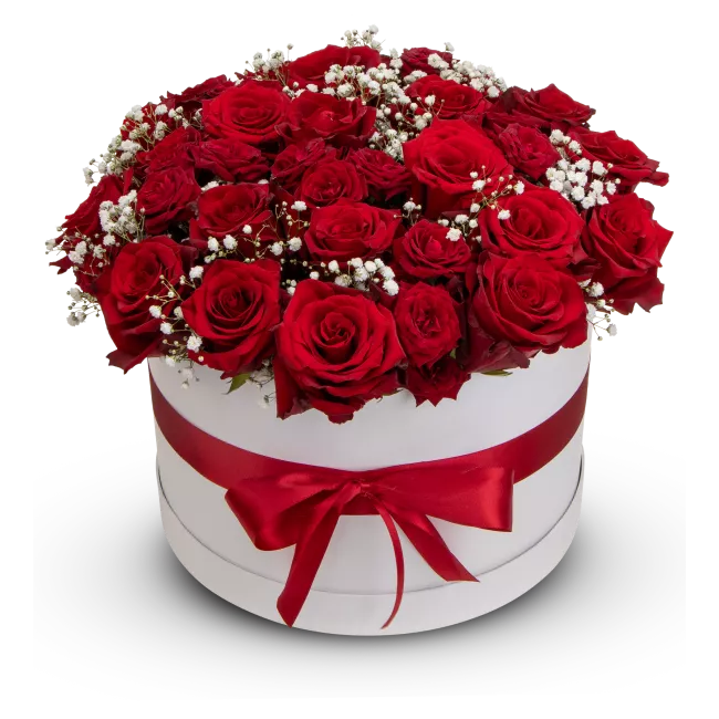 Box červených růží